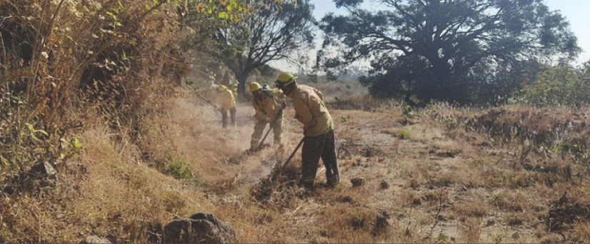 <strong>Tlajomulco inicia prevención contra incendios forestales</strong>