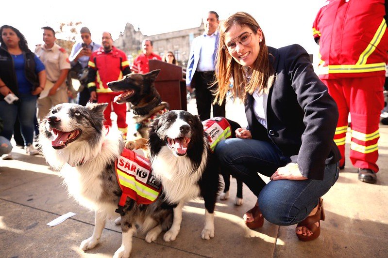 Reconoce Guadalajara labor humanitaria de binomios caninos de la Cruz Roja Mexicana