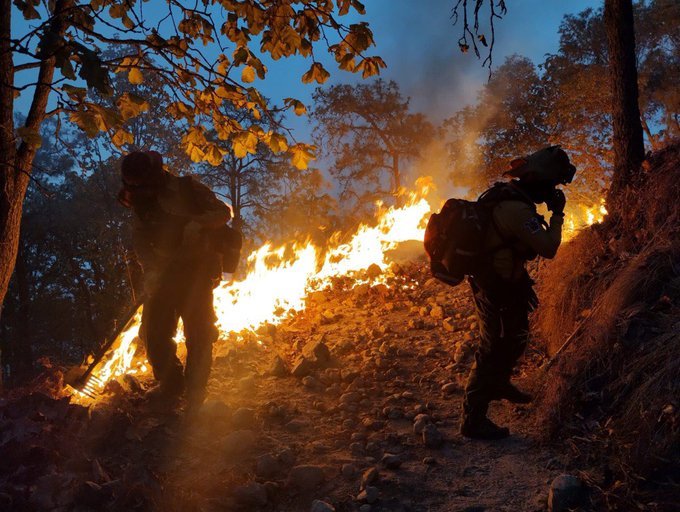 Investigan a probable responsable de incendio en Bosque de La Primavera