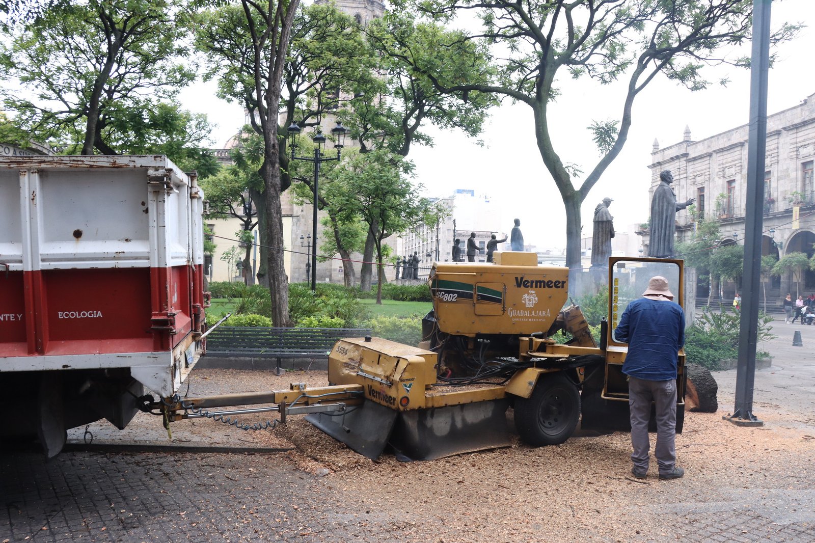 Retiran más de mil 500 árboles secos en Guadalajara