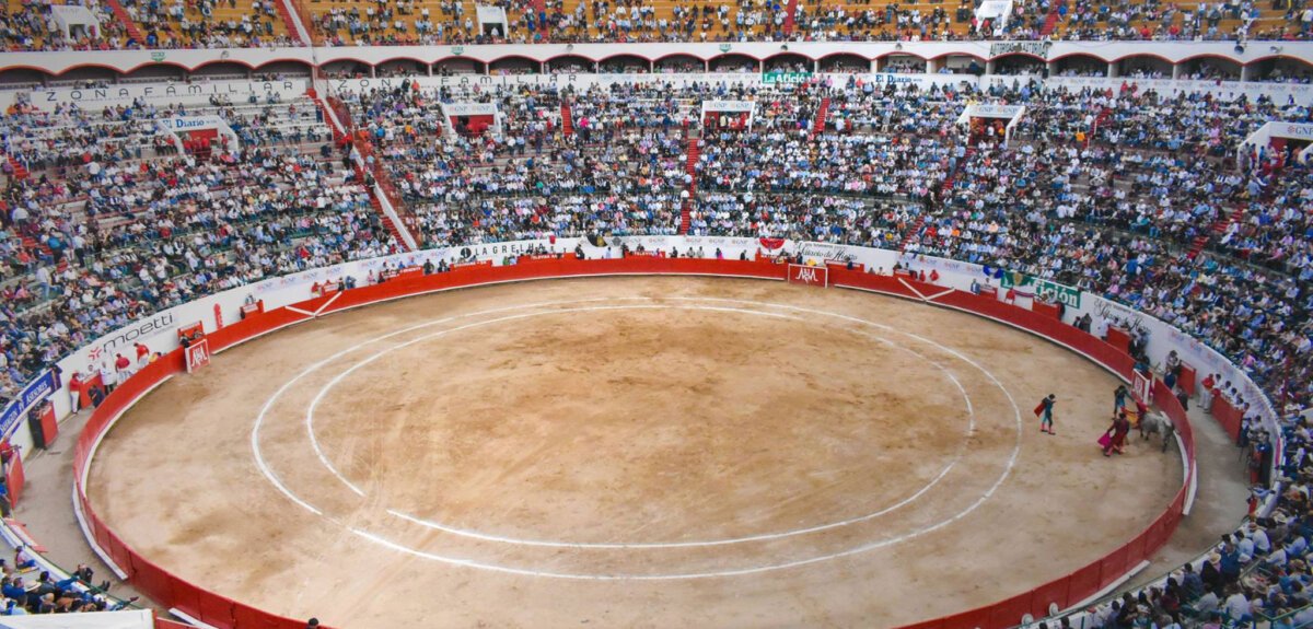 Un Juez concede amparo contra los toros en Guadalajara