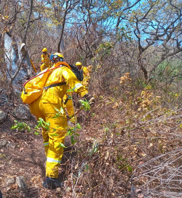 Semadet activa alerta atmosférica por incendio forestal en Ixtlahuacán de los Membrillos