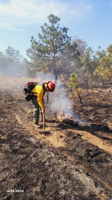 Disminuyen las áreas forestales afectadas por incendios en Jalisco