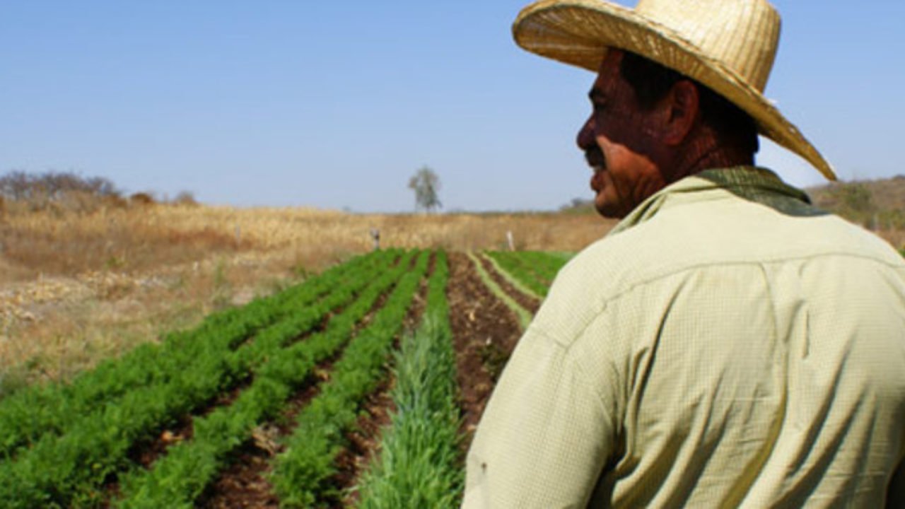 Habrá respaldo para fortalecer el sector agrícola de Jalisco