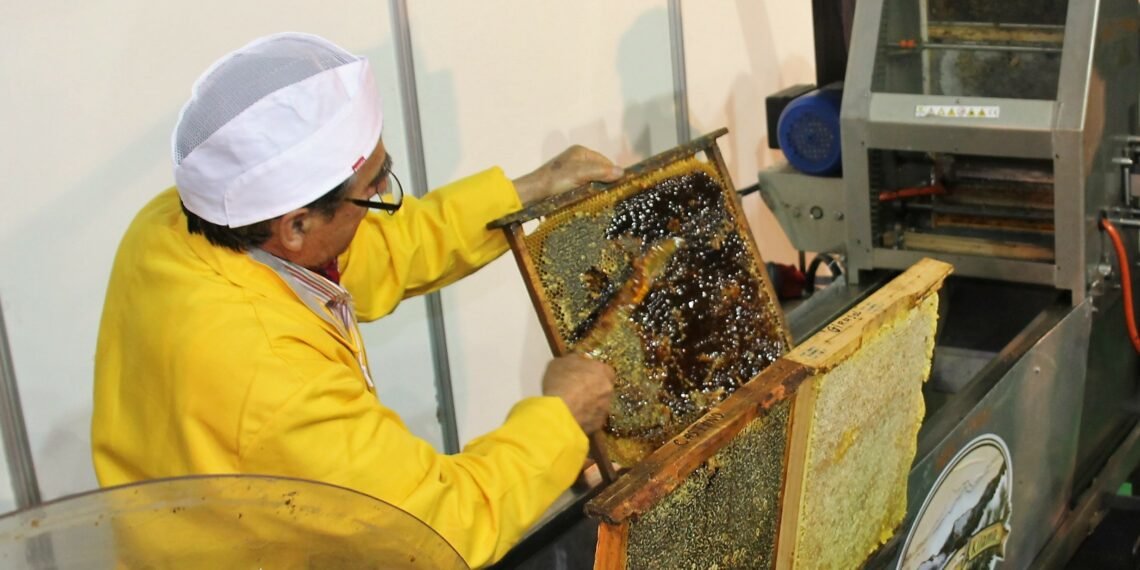 Invitan apicultores a conocer la importancia de las abejas