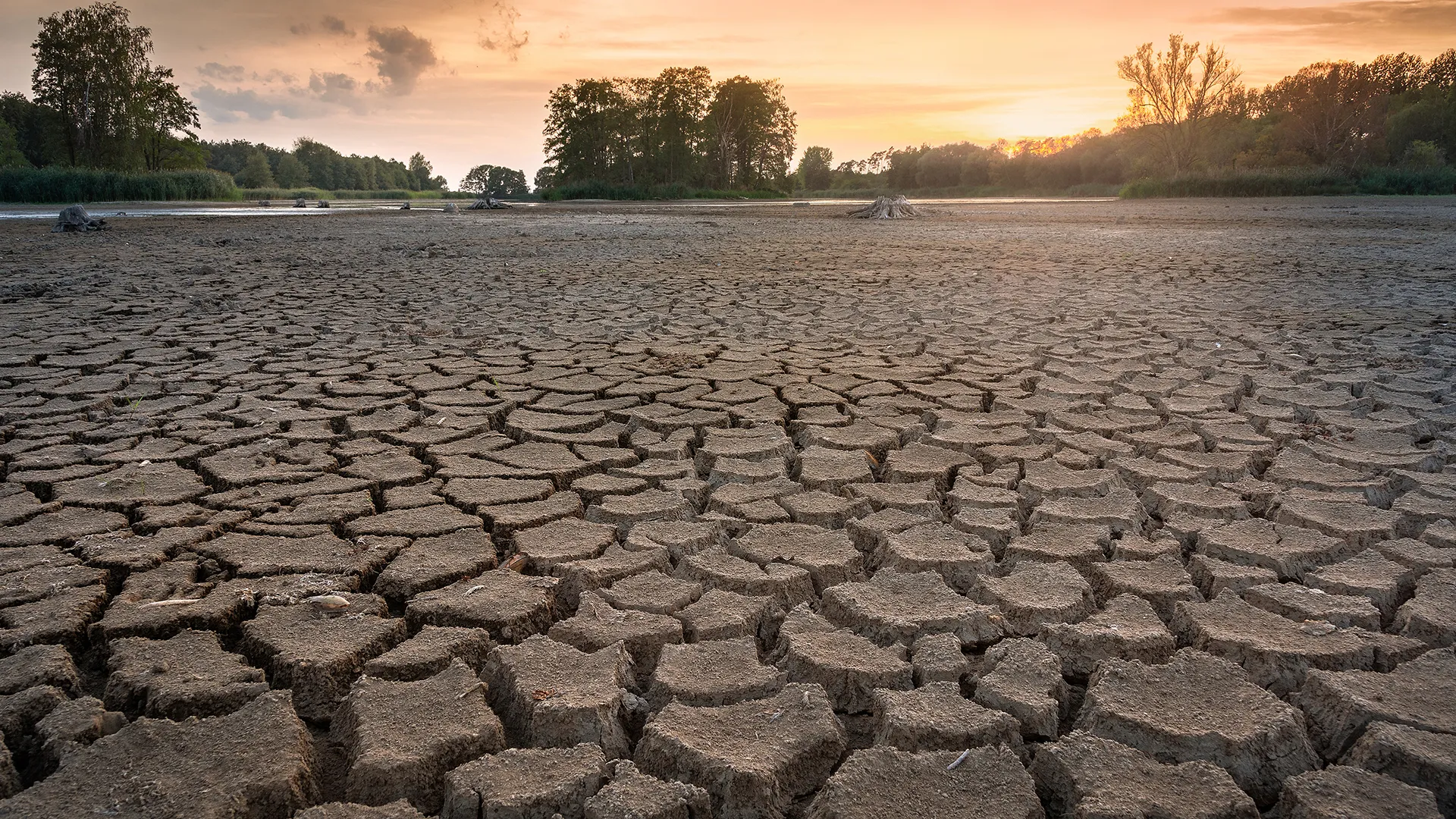 Cambio climático impulsa la migración interna en todo el mundo, según un estudio