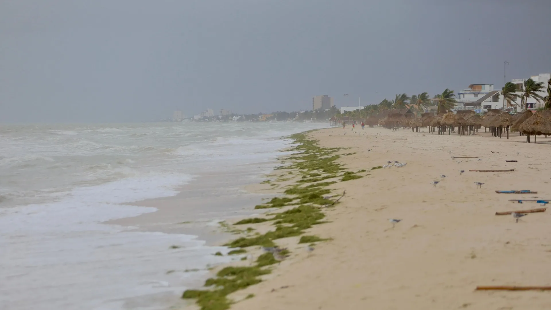 Localizan a 4 de los 15 pescadores desaparecidos en Yucatán por ‘Milton’