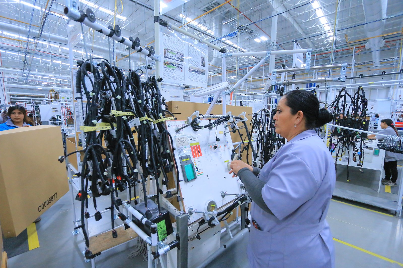 Se mantiene Jalisco en segundo lugar nacional en generación de empleo