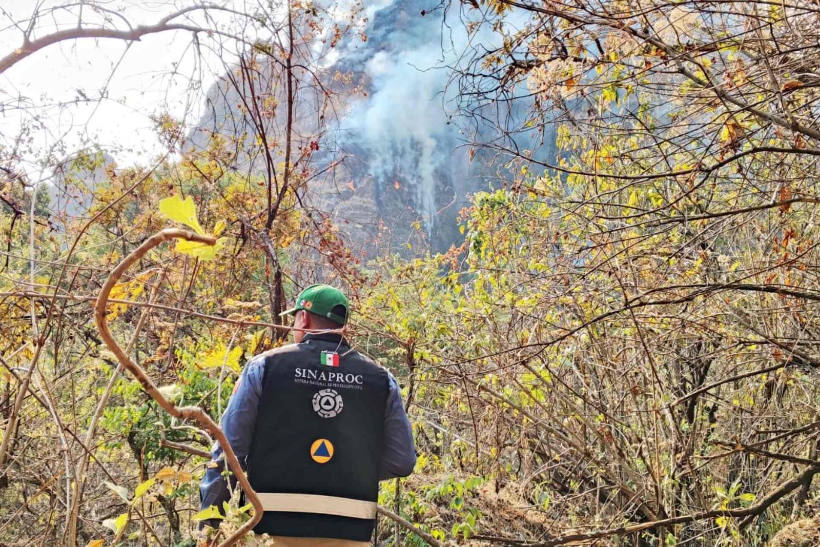 Hay 114 incendios forestales activos en el país: CNPC